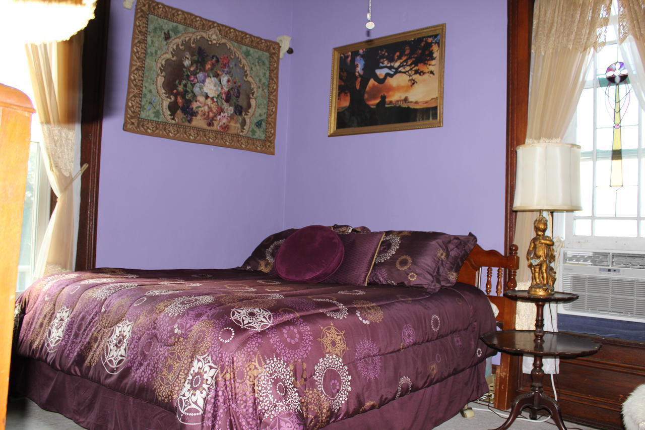 Riverview Mansion Hotel Golconda 部屋 写真
